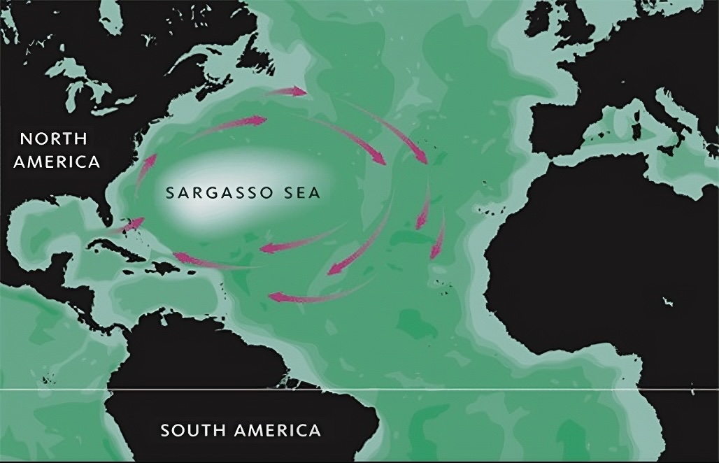 Map of the Sargasso Sea