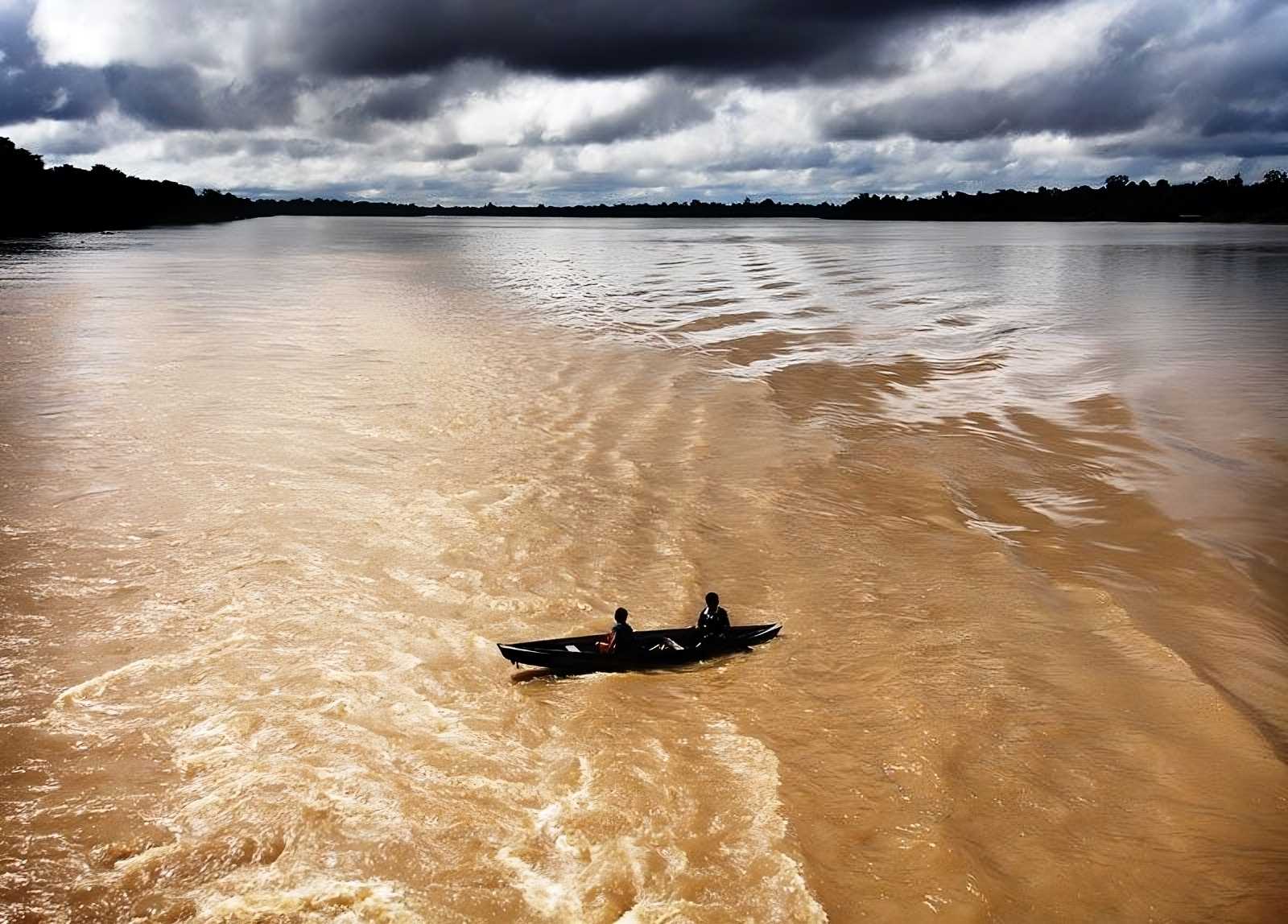 The Amazon River near Manaus, Brazil.