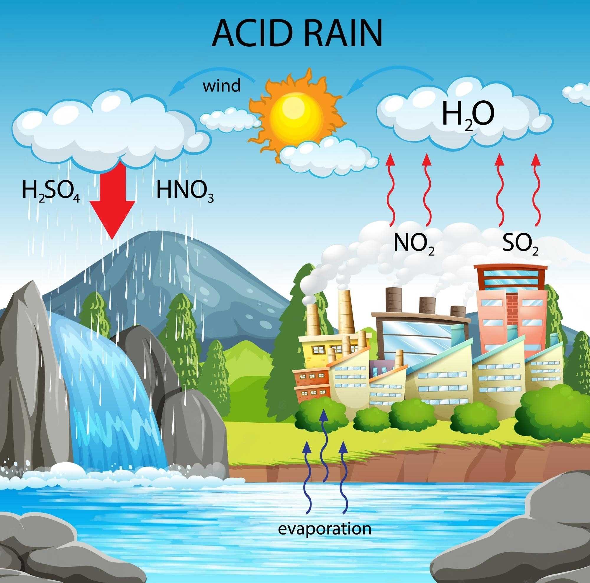 Diagram showing acid rain pathway.