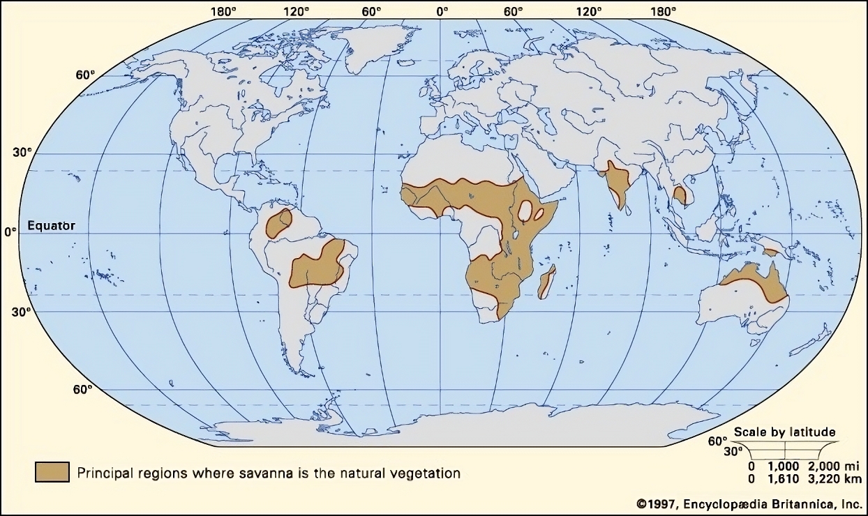 Worldwide distribution of savannas