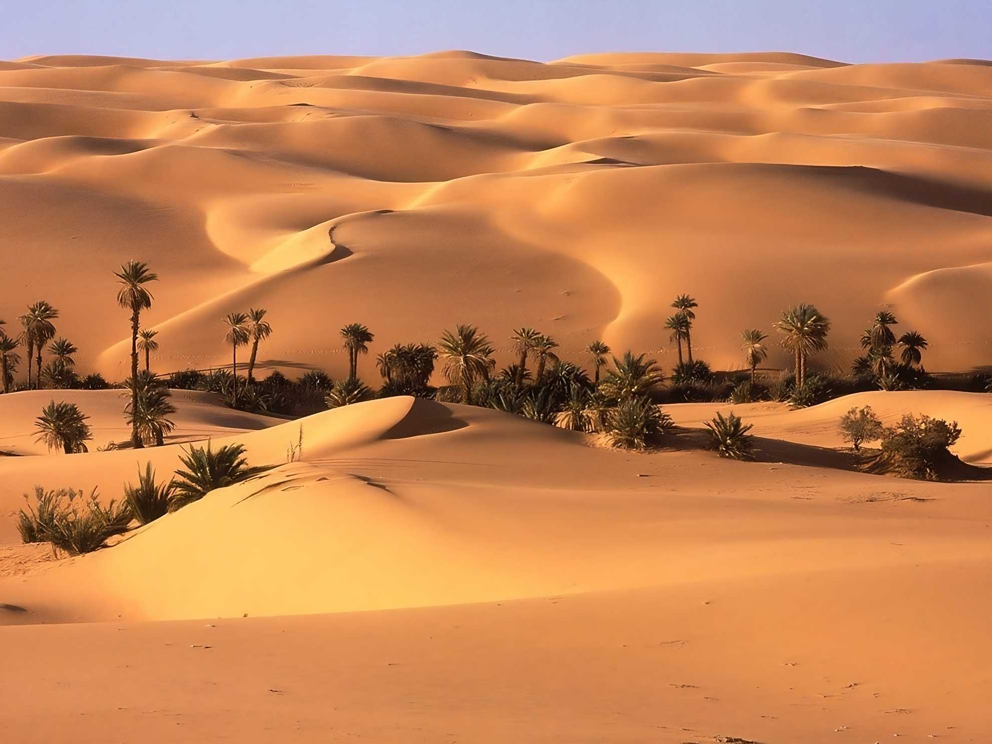 Seba Oasis, near Sabha, Libya, is in the middle of the Sahara Desert.