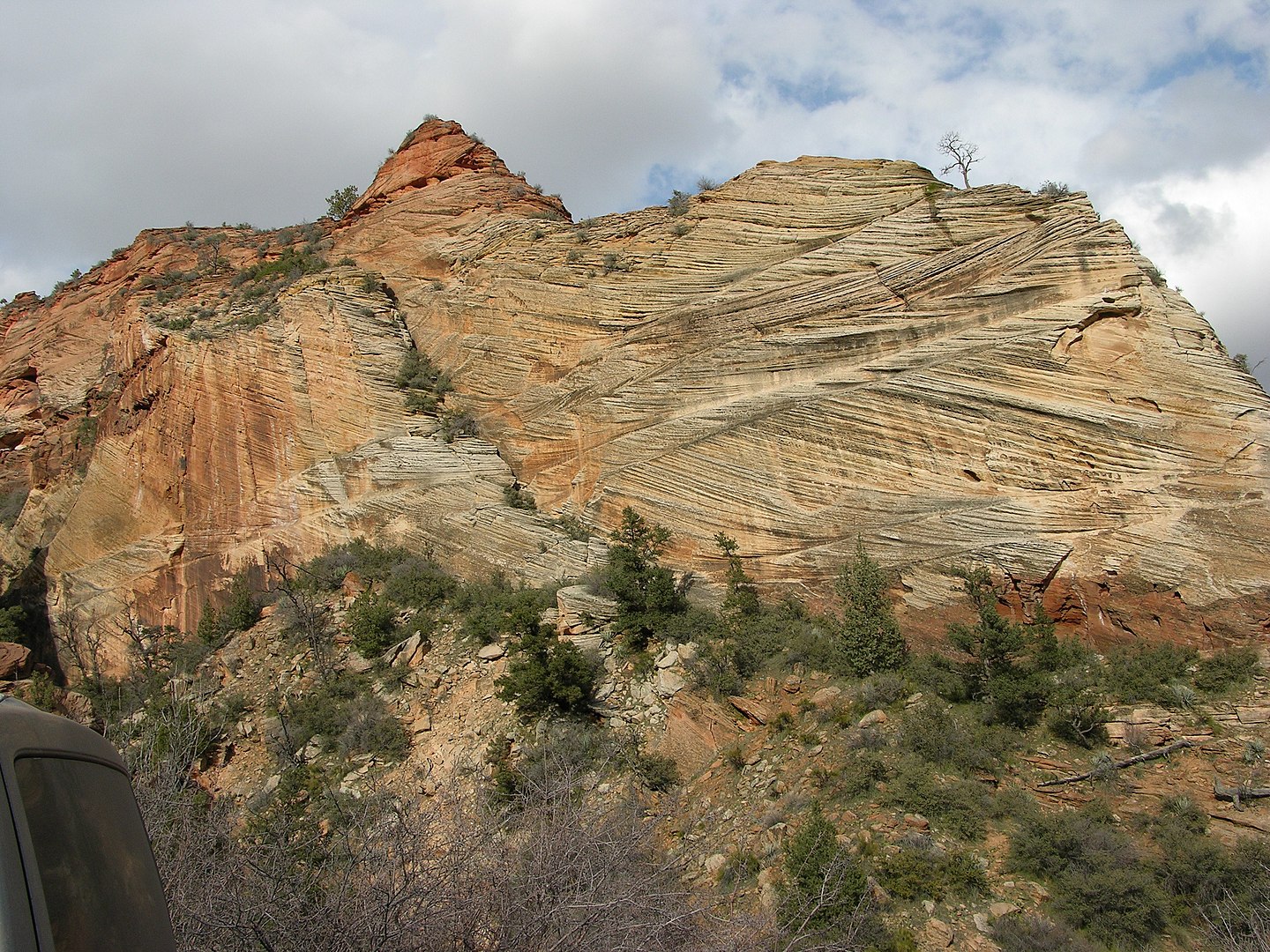 Cross-bedding of sandstone near Mt. Carmel road, Zion Canyon