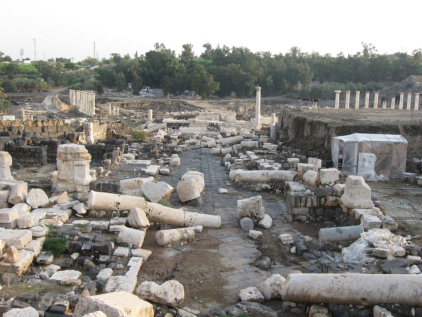 The city of Scythopolis (Beit She'an), a city destroyed by this earthquake.