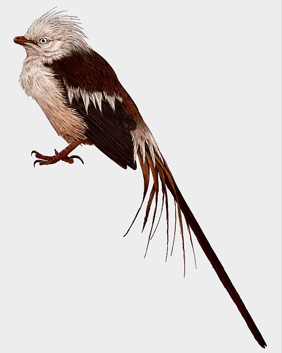 A Young enantiornithine that lost its feathers during a sudden molt.