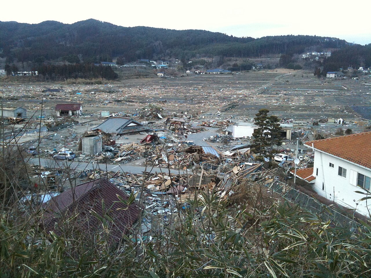 tsunami japan 2011 after before