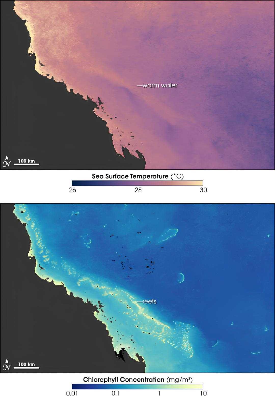 The two images of the Great Barrier Reef, with the warmest water (upper picture) matching the coral reefs (lower picture), establish the conditions that could contribute to coral bleaching.