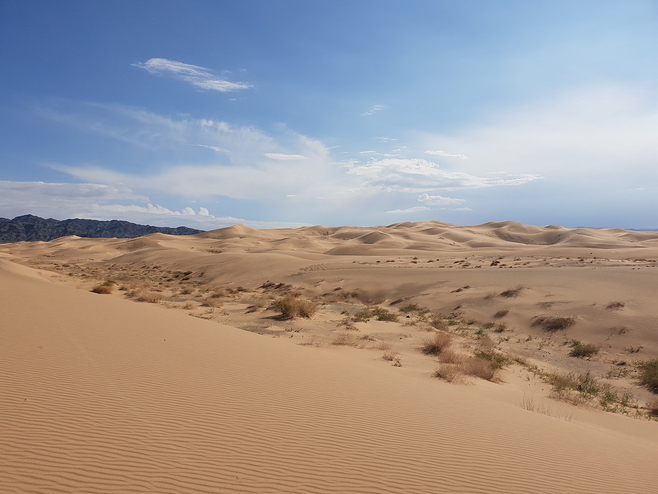 Gobi Desert, Mongolia.