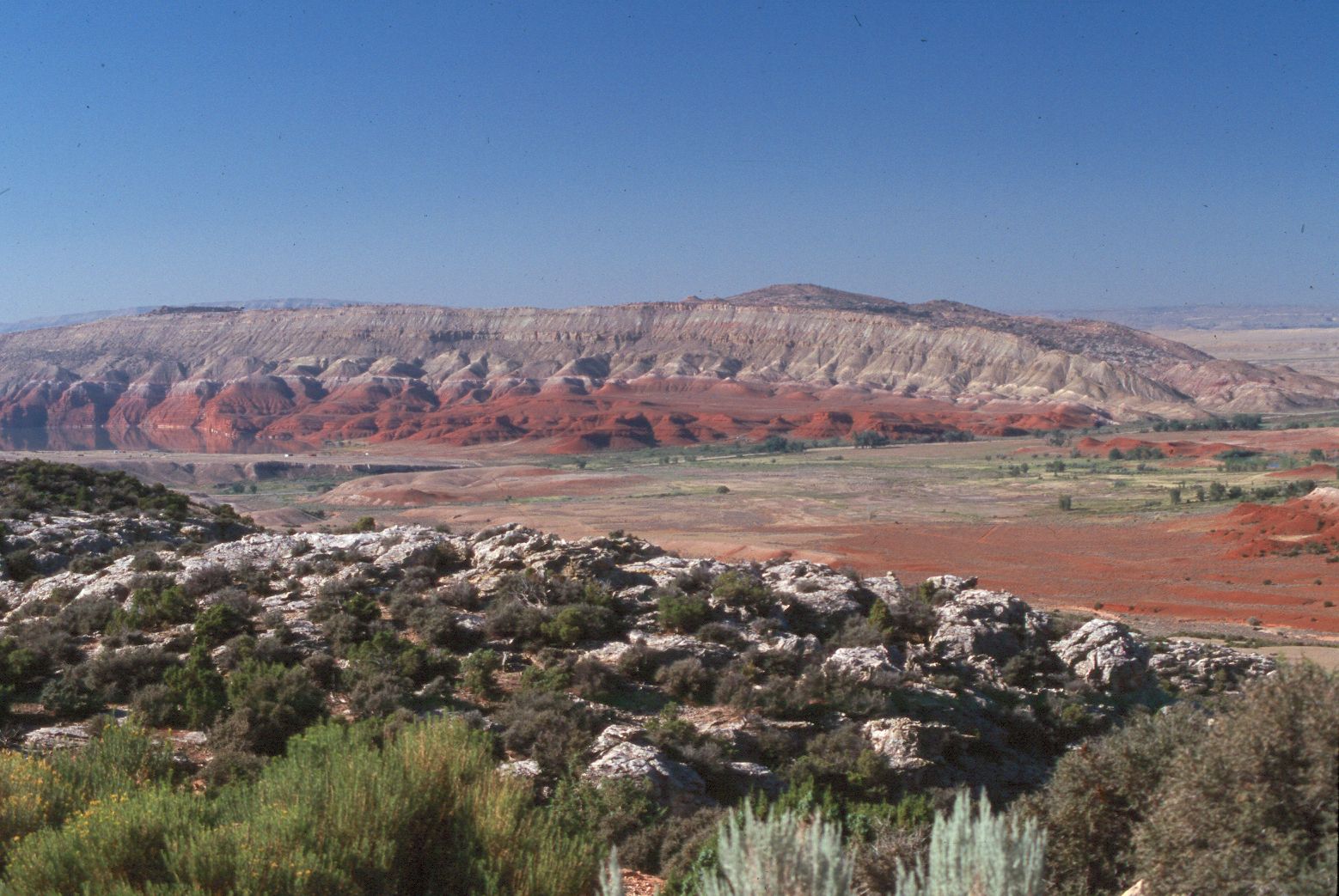 Great Basin Desert picture showing vegetation and mountains