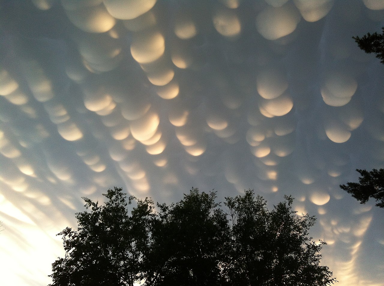 Formation of mammatus clouds over the city of Regina Saskatchewan on 2012-06-26 following a severe storm warning and tornado watch.
