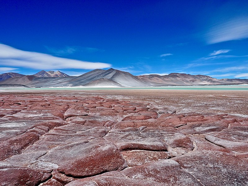 Piedras Rojas in the Atacama Desert, Chile.