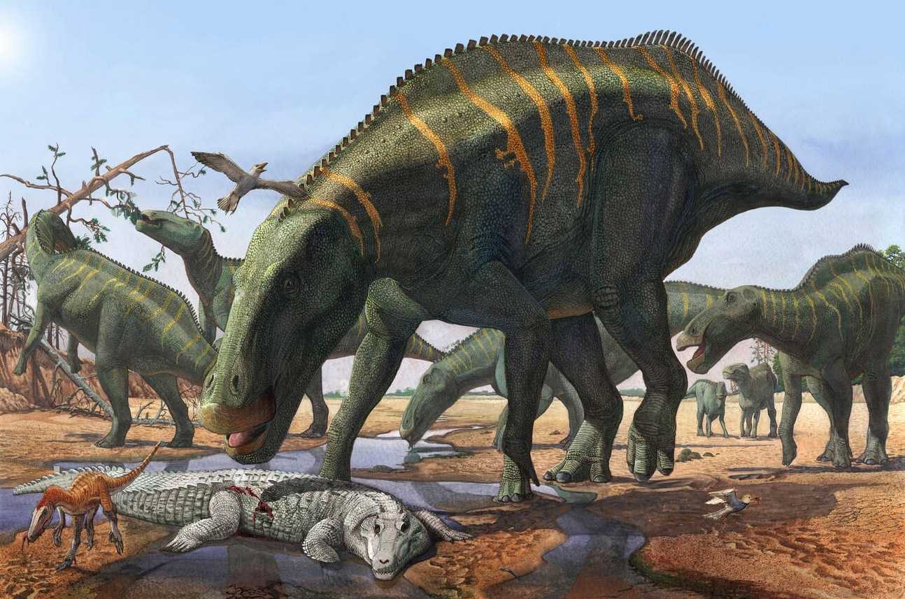 A herd of Shantungosaurus dinosaurs scavenging for food.
