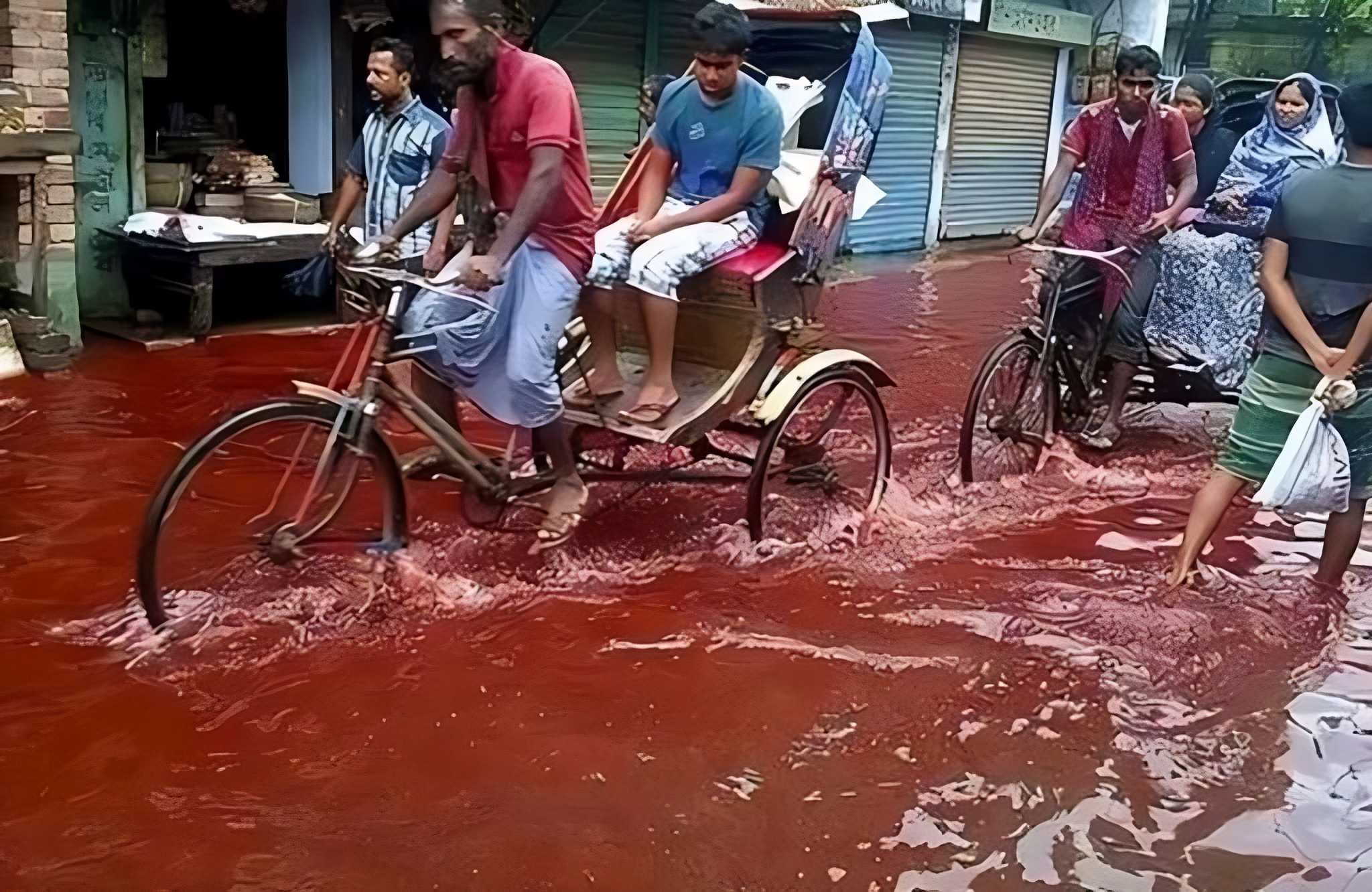 2001 kerala blood rain