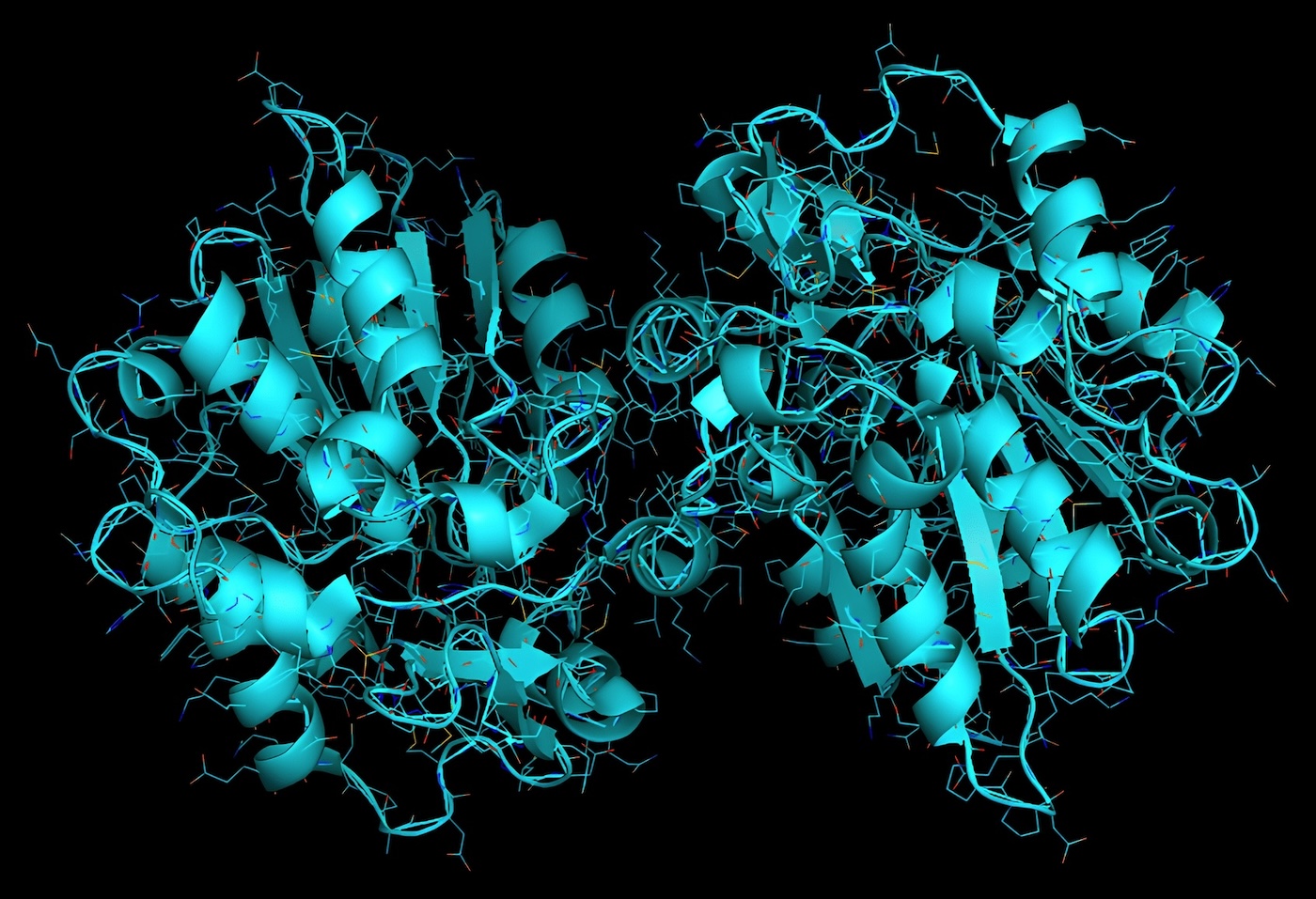 This is a depiction of the Enzyme Polyneuridine-Aldehyde Esterase.