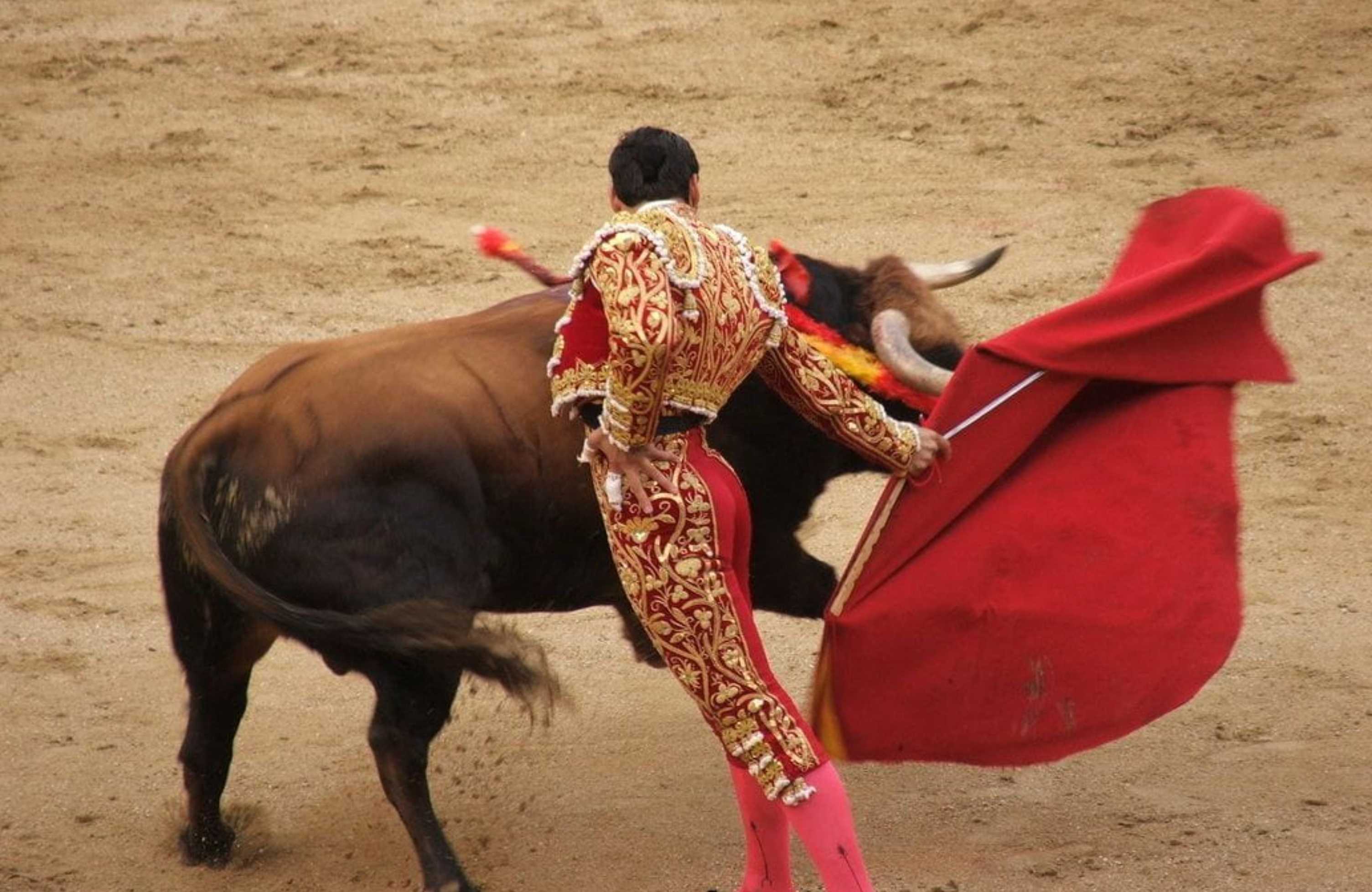 Styles Of Bullfighting Why Do Bulls Hate Red?
