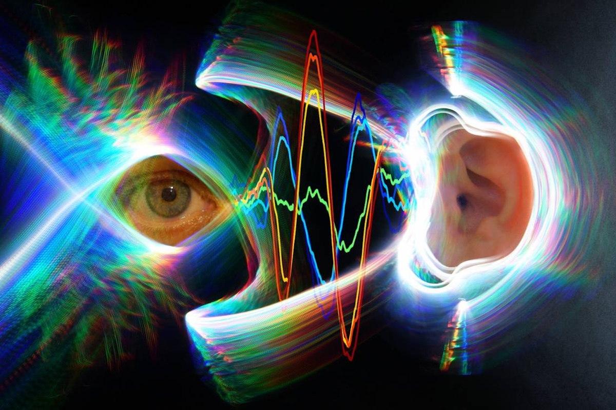 Ear Sounds Reveal Eye Movements