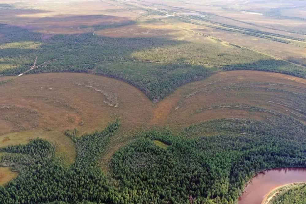 Aerial view of the Amnya fortress (circle visible in the trees). Located near the river, it must have been a strategic defense site. Nikita Golovanov, Antiquity Publications Ltd
