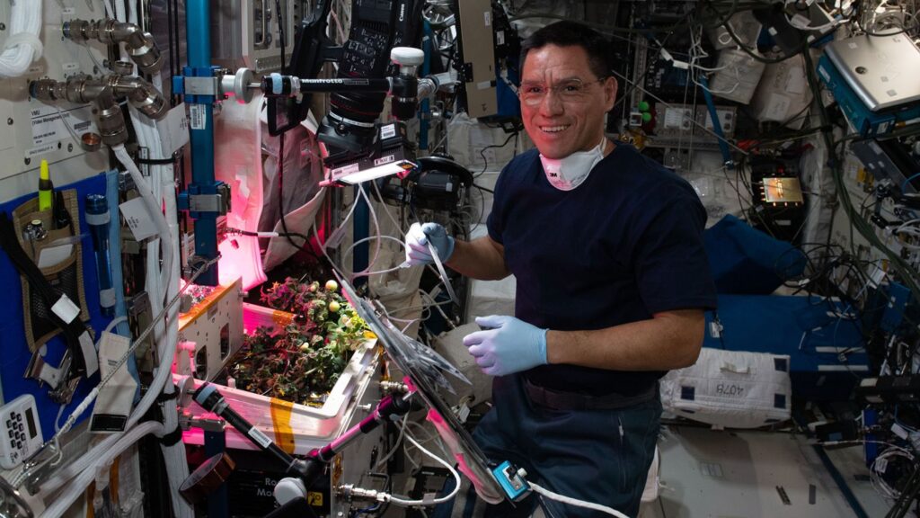 Space Station’s Runaway Tomato Found After Months