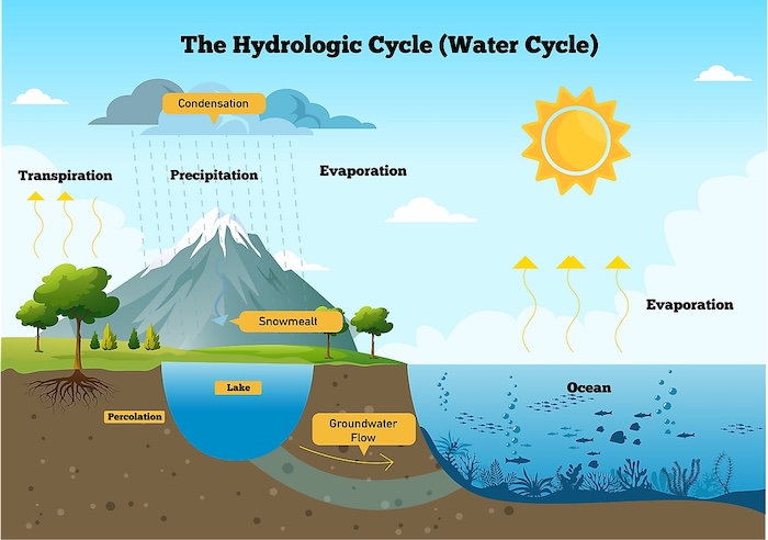 cycle hydrologique (cycle de l'eau).