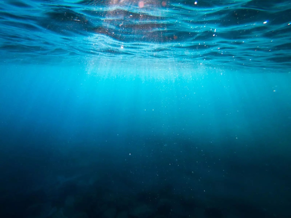 Quel pourcentage des océans a été exploré ?